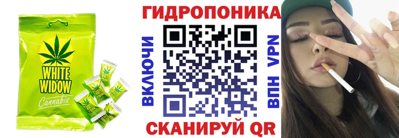 где найти   Киров  Canna-Cookies марихуана 