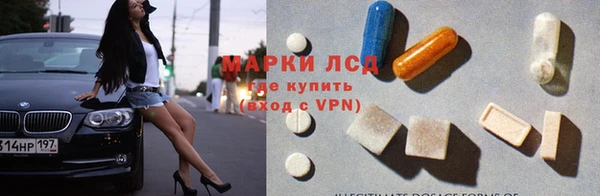 шишки Алзамай
