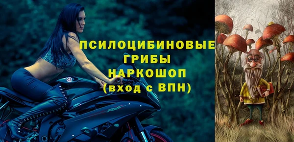 шишки Алзамай